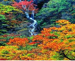 东拉山、神木垒、东拉山大峡谷二日游