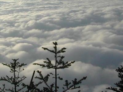 成都峨眉山全景纯玩一日游-峨眉山1日游