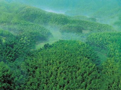 蜀南竹海圣灵山大溶洞2日游